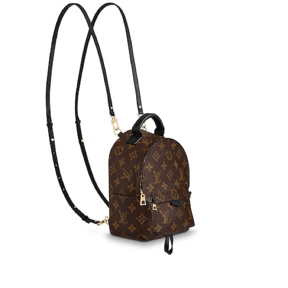 Louis Vuitton Handbags - Auth Louis Vuitton Palm Spring Mini monogram NEW